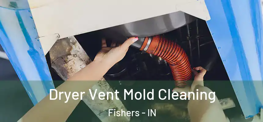 Dryer Vent Mold Cleaning Fishers - IN