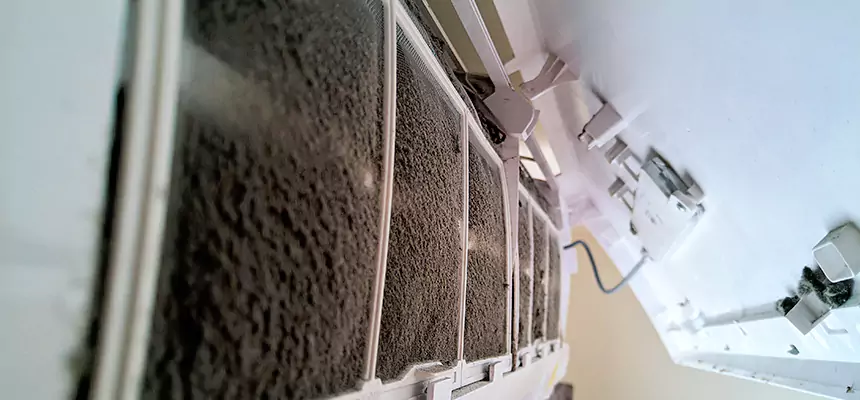 Preventive Air Duct Bacteria Removal in Fishers