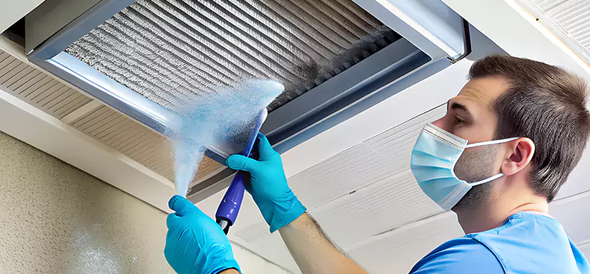 Proactive Dryer Vent & Auxiliary Duct Pollen Cleanup in Fishers, IN