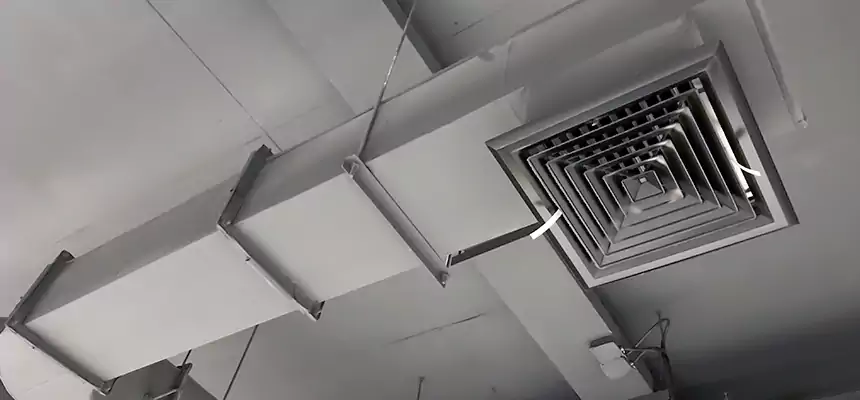 Our Pest Removal From Ducts Services in Fishers, IN