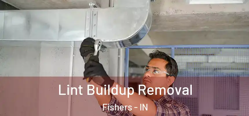  Lint Buildup Removal Fishers - IN