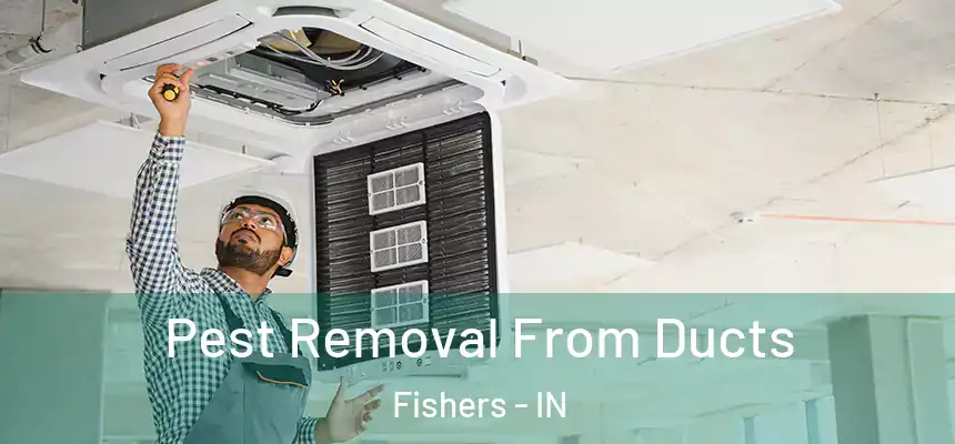  Pest Removal From Ducts Fishers - IN
