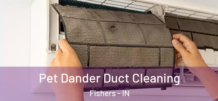  Pet Dander Duct Cleaning Fishers - IN