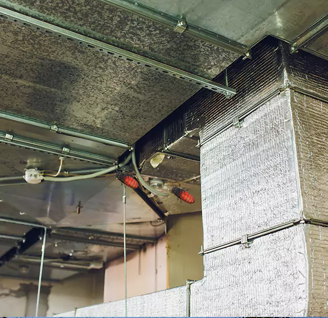 Why Homeowners & Businesses Trust Us Fishers, IN?