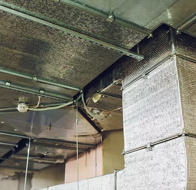 Why Homeowners & Businesses Trust Us in Fishers, IN?